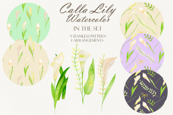 Watercolor Calla Lily Patterns Clipart